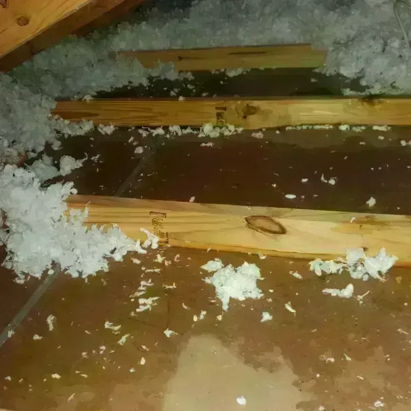 Attic Water Damage in Marshville, NC